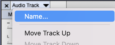 screenshot of menu that appears from clicking on the down arrow of a track