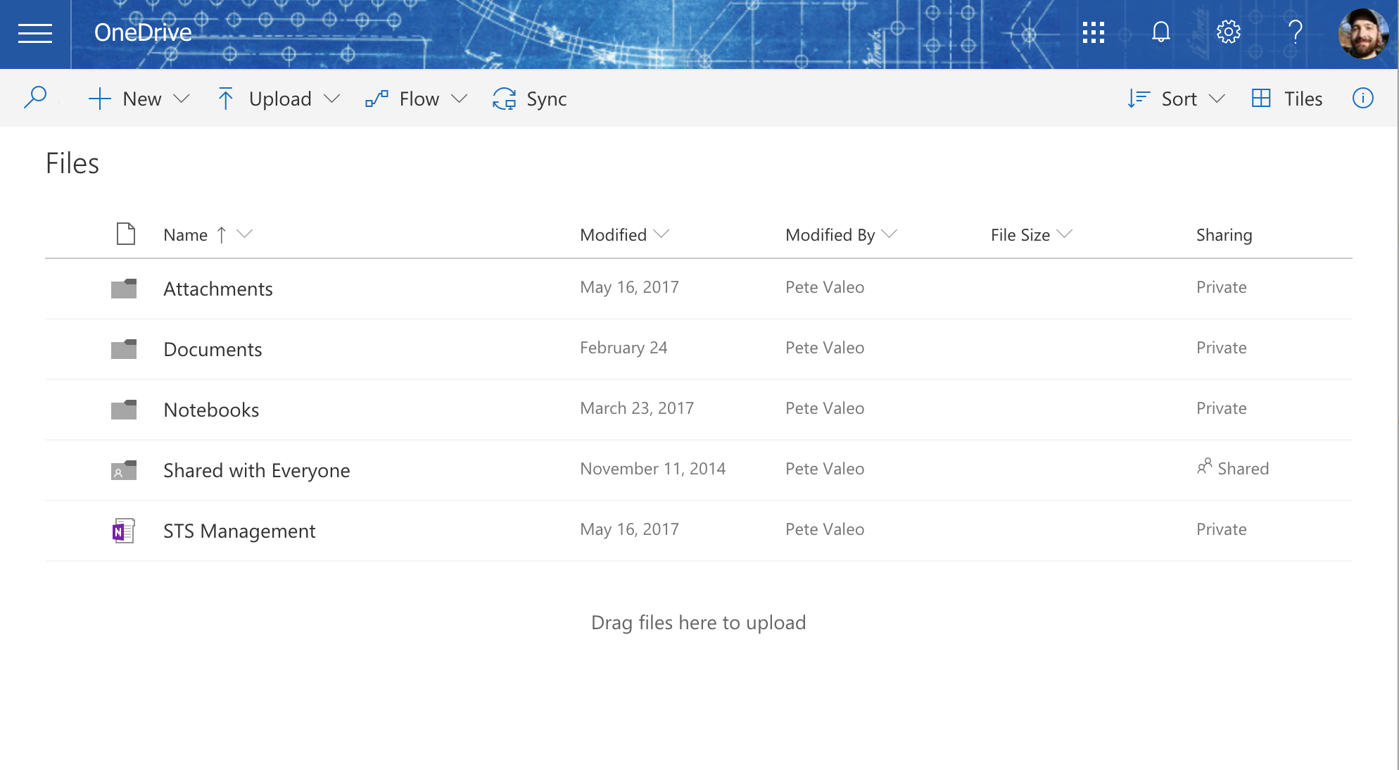 Screenshot of Microsoft One Drive