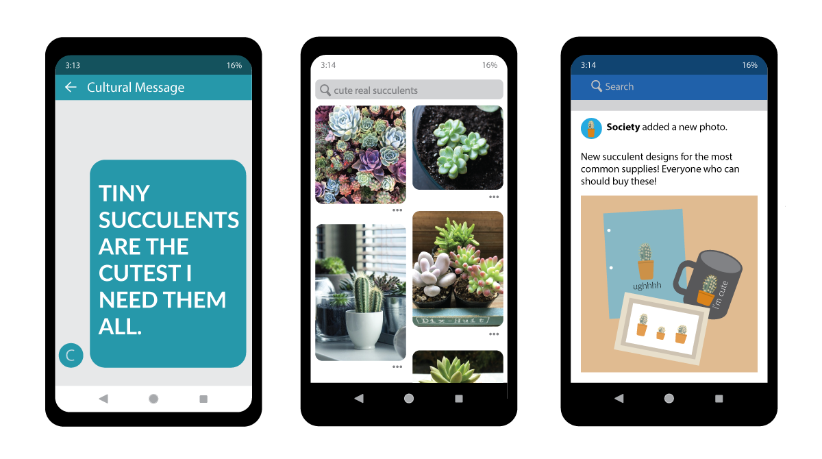 picture of tiny succulents from real life to graphic design