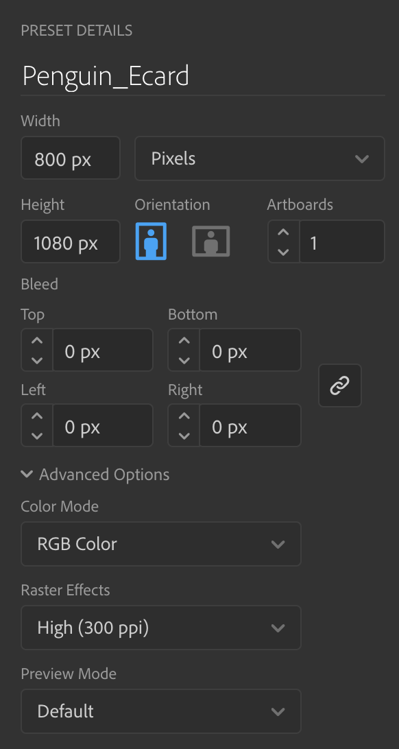 Document settings: Unit=Pixels, Orientation=Portrait, Artboards=1, Width=800px, Height=1080px, Color Mode=RGB, Raster Effects= High(300ppi)