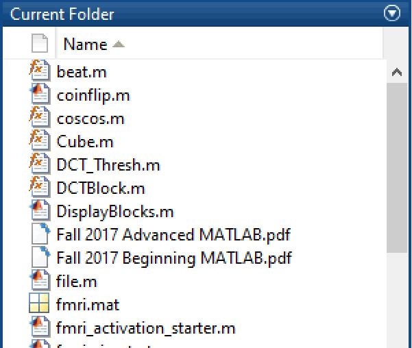 current folder of MATLAB interface