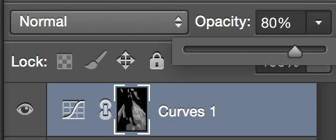Image of opacity slider in the Layers panel