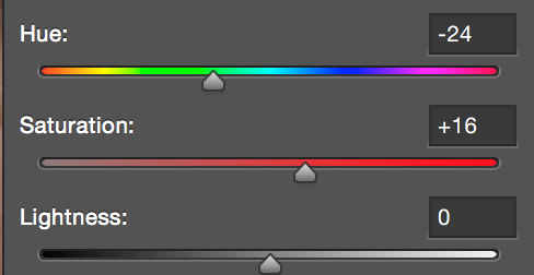 The Hue/Saturation panel shows Hue=-24, and Saturation=+16