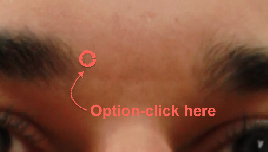 Option-click on the area of skin around the start of the eyebrow