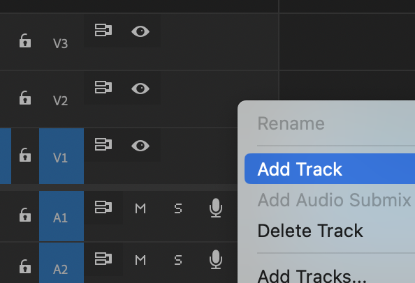 add video track menu option