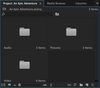 Project pane with imported media folders