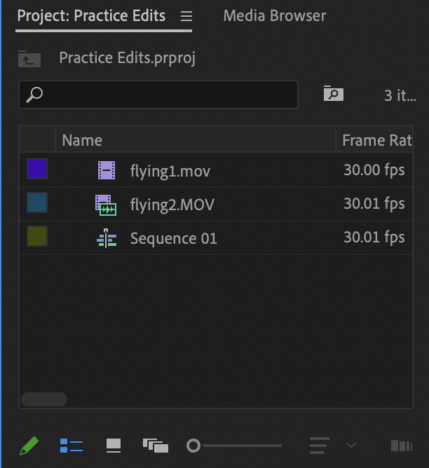 Project panel with imported media folders in list view