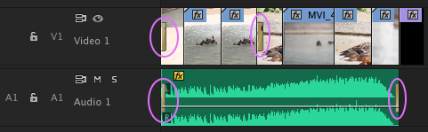 video and audio clips in Timeline with transitions added