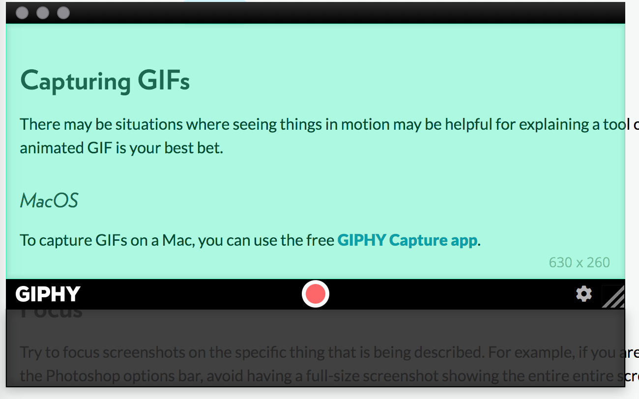 The GIPHY capture interface