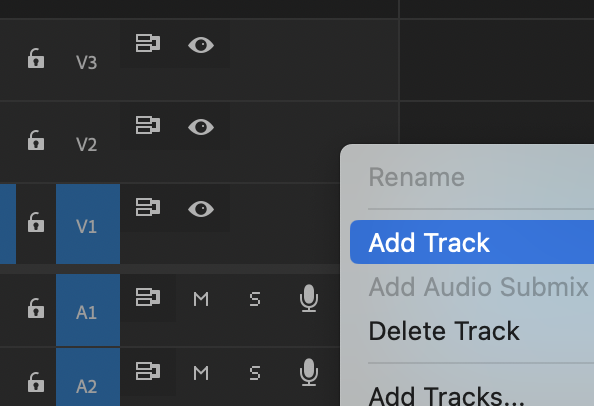 Add Track menu option