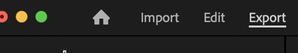 Export button to enter the exporting workspace