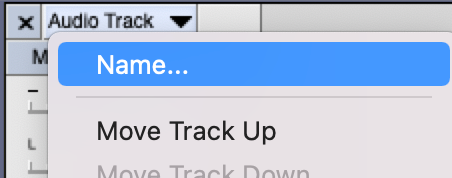 screenshot of menu that appears from clicking on the down arrow of a track