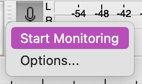 screenshot displaying the "start monitoring" option