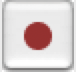 record tool icon