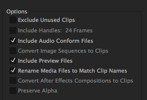 Project Manager dialog box close up into Options with the following checked: Include Audio Conform Files, Include Preview Files, Rename Media FIles to Match Clip Names