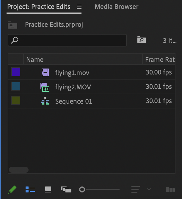 Project panel showing imported files in list view
