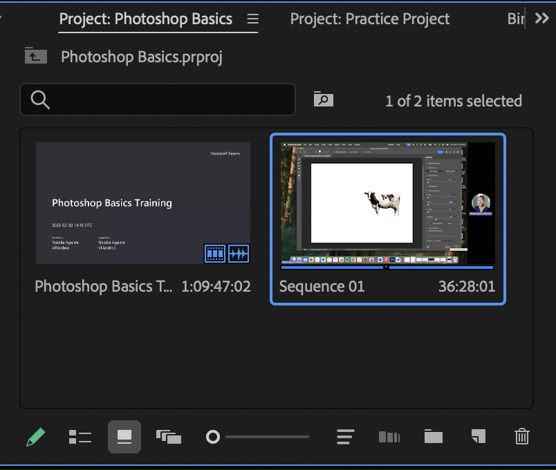 Sequence file selected within the Project Panel in Icon View