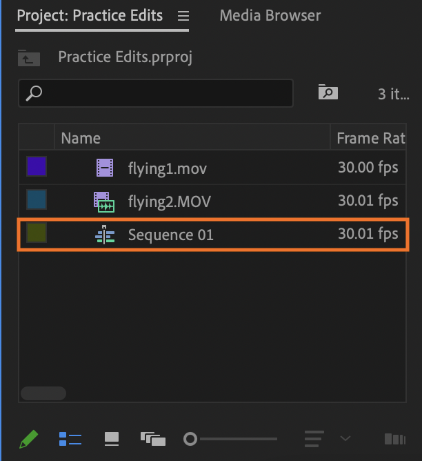 Sequence file selected within the Project Panel in List View
