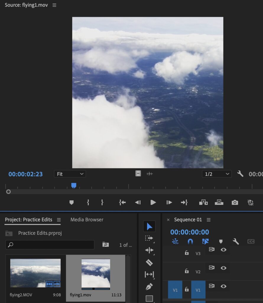 Preview of file within the source monitor