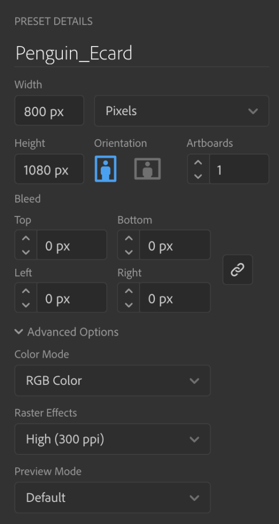 Document panel with window settings