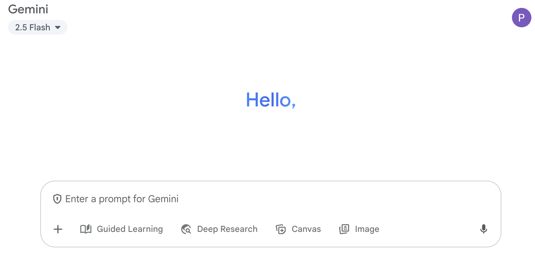 The Google Gemini interface